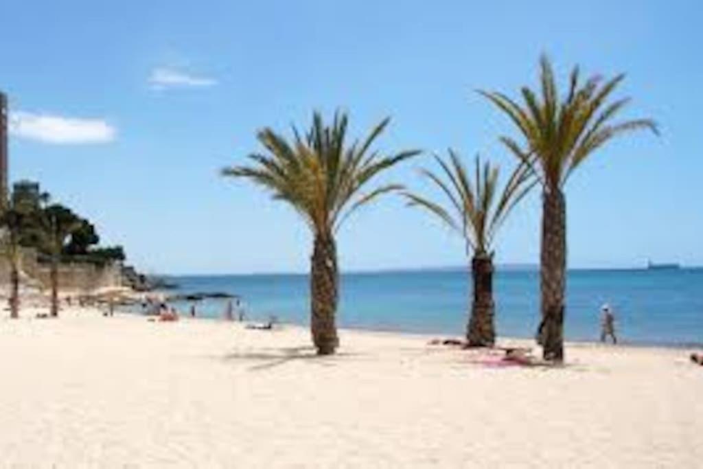 Appartement Mi Pequena Bahia à Alicante Extérieur photo